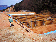 サムネイル写真：大規模な沈砂地での濁水対策