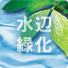 水辺緑化