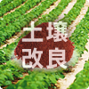 土壌改良